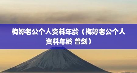 梅婷老公个人资料年龄（梅婷老公个人资料年龄 曾剑）