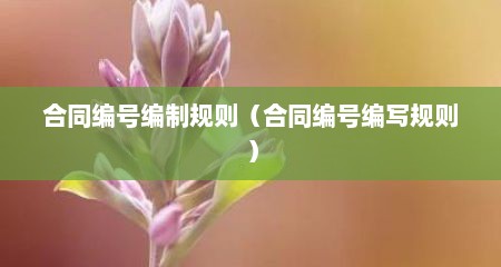 合同编号编制规则（合同编号编写规则）