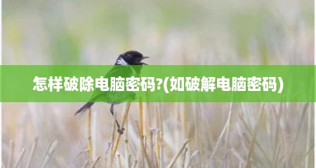 怎样破除电脑密码?(如破解电脑密码)