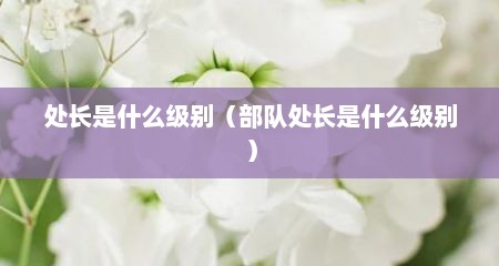 处长是什么级别（部队处长是什么级别）