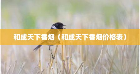 和成天下香烟（和成天下香烟价格表）