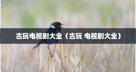 古玩电视剧大全（古玩 电视剧大全）