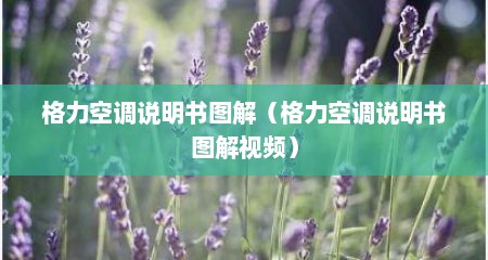 格力空调说明书图解（格力空调说明书图解视频）
