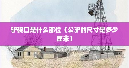 驴碗口是什么部位（公驴的尺寸是多少厘米）