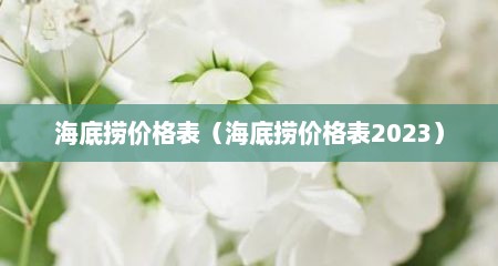 海底捞价格表（海底捞价格表2023）