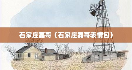 石家庄磊哥（石家庄磊哥表情包）