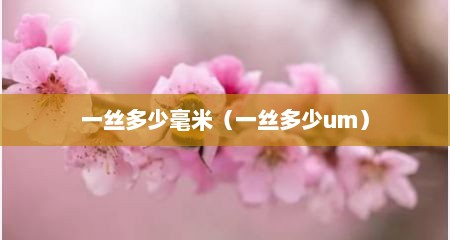 一丝多少毫米（一丝多少um）