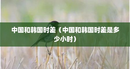 中国和韩国时差（中国和韩国时差是多少小时）