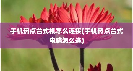 手机热点台式机怎么连接(手机热点台式电脑怎么连)