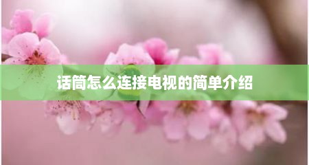 话筒怎么连接电视的简单介绍