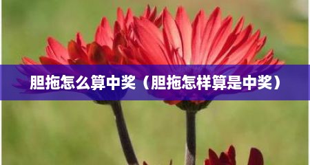 胆拖怎么算中奖（胆拖怎样算是中奖）