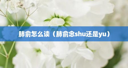 肺俞怎么读（肺俞念shu还是yu）