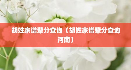 胡姓家谱辈分查询（胡姓家谱辈分查询河南）