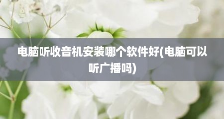电脑听收音机安装哪个软件好(电脑可以听广播吗)