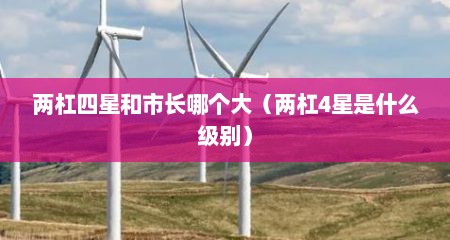两杠四星和市长哪个大（两杠4星是什么级别）