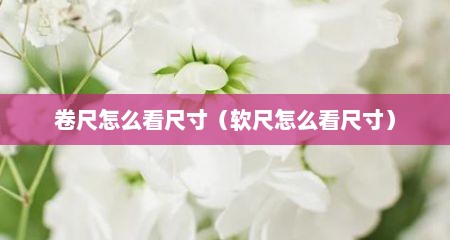 卷尺怎么看尺寸（软尺怎么看尺寸）