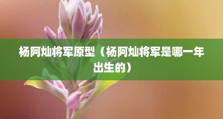 杨阿灿将军原型（杨阿灿将军是哪一年出生的）