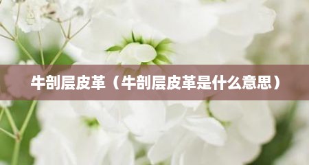 牛剖层皮革（牛剖层皮革是什么意思）