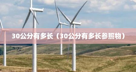30公分有多长（30公分有多长参照物）