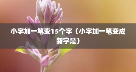 小字加一笔变15个字（小字加一笔变成新字是）