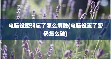 电脑设密码忘了怎么解除(电脑设置了密码怎么破)