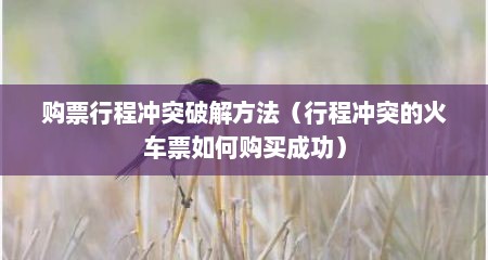 购票行程冲突破解方法（行程冲突的火车票如何购买成功）