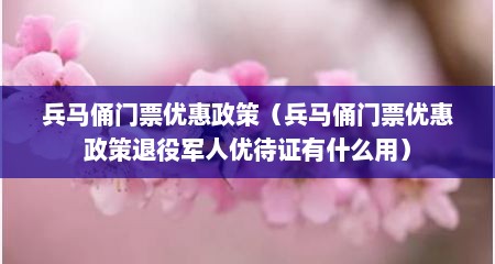 兵马俑门票优惠政策（兵马俑门票优惠政策退役军人优待证有什么用）