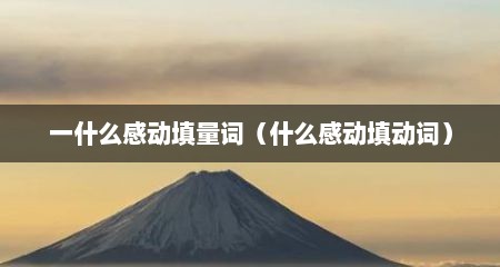 一什么感动填量词（什么感动填动词）