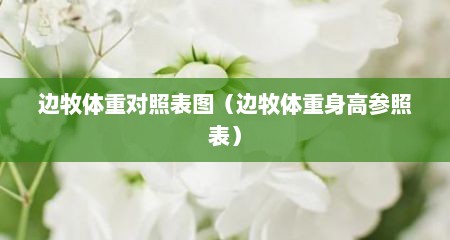 边牧体重对照表图（边牧体重身高参照表）