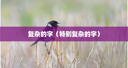 复杂的字（特别复杂的字）