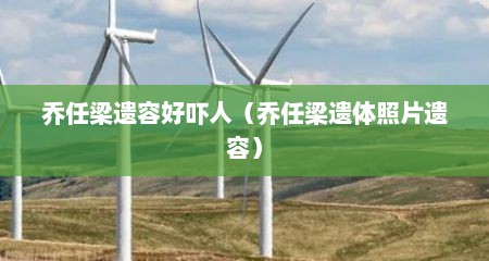 乔任梁遗容好吓人（乔任梁遗体照片遗容）