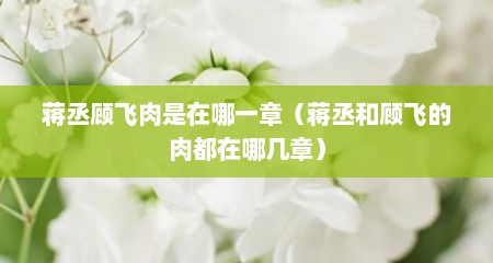 蒋丞顾飞肉是在哪一章（蒋丞和顾飞的肉都在哪几章）