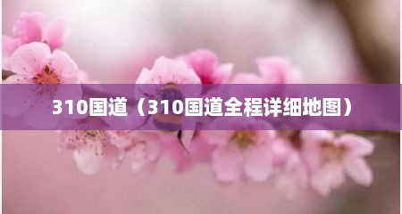 310国道（310国道全程详细地图）