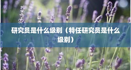 研究员是什么级别（特任研究员是什么级别）