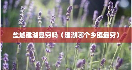盐城建湖县穷吗（建湖哪个乡镇最穷）