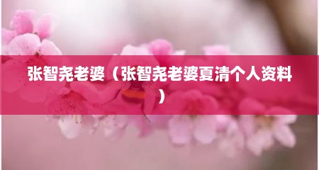 张智尧老婆（张智尧老婆夏清个人资料）