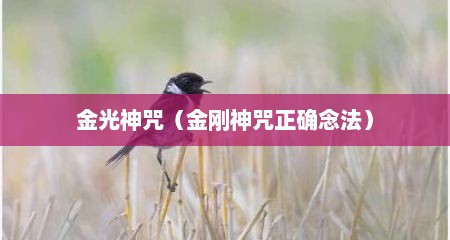 金光神咒（金刚神咒正确念法）