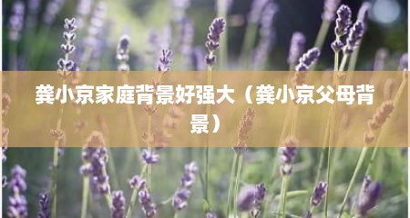 龚小京家庭背景好强大（龚小京父母背景）