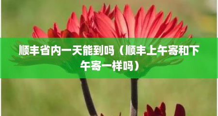 顺丰省内一天能到吗（顺丰上午寄和下午寄一样吗）