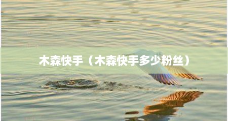 木森快手（木森快手多少粉丝）