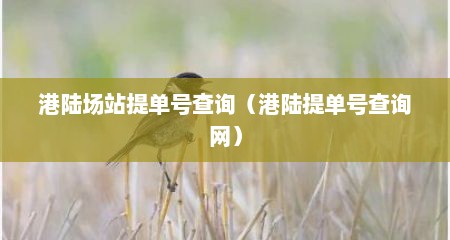 港陆场站提单号查询（港陆提单号查询网）