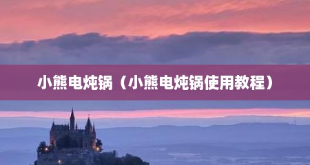 小熊电炖锅（小熊电炖锅使用教程）