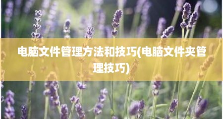 电脑文件管理方法和技巧(电脑文件夹管理技巧)