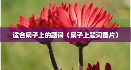适合扇子上的题词（扇子上题词图片）