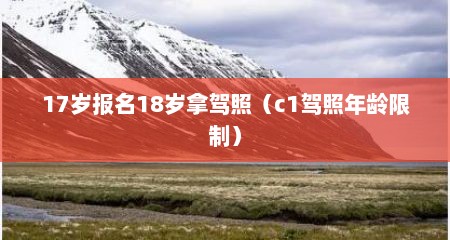17岁报名18岁拿驾照（c1驾照年龄限制）
