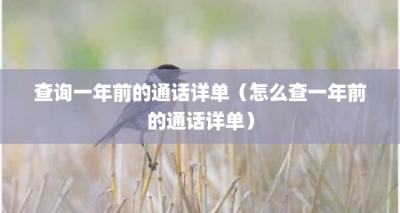 查询一年前的通话详单（怎么查一年前的通话详单）