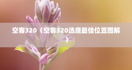 空客320（空客320选座最佳位置图解）