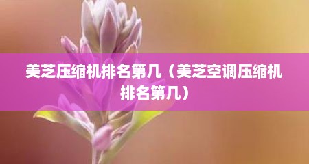 美芝压缩机排名第几（美芝空调压缩机排名第几）