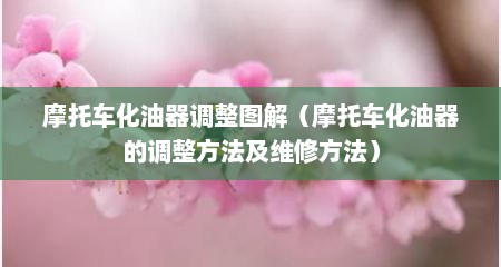 摩托车化油器调整图解（摩托车化油器的调整方法及维修方法）