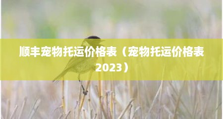 顺丰宠物托运价格表（宠物托运价格表2023）